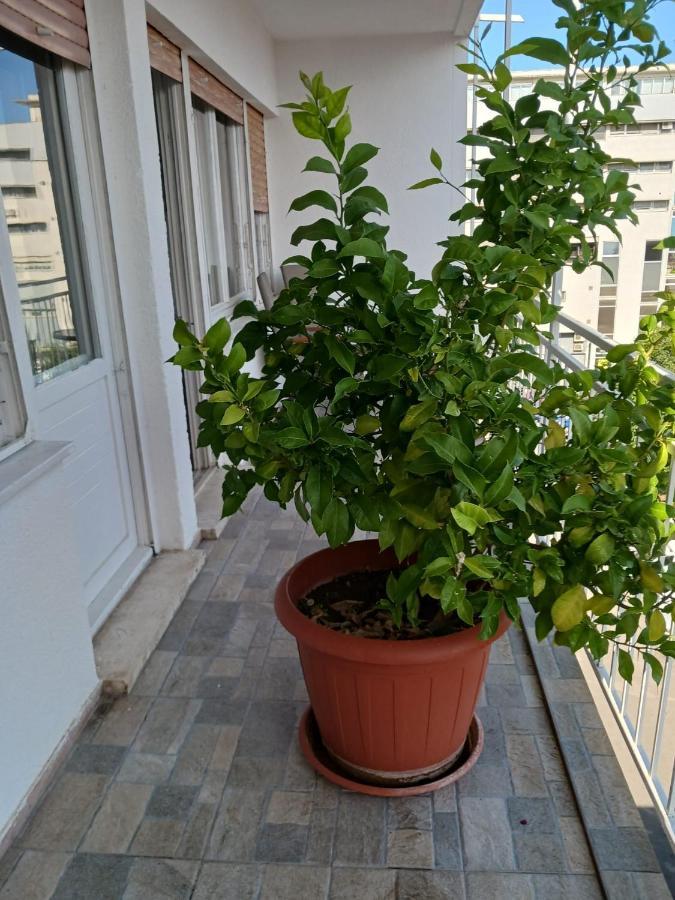 Room With Private Toilet And Terrace In City Center In Shared Apartment Split Buitenkant foto